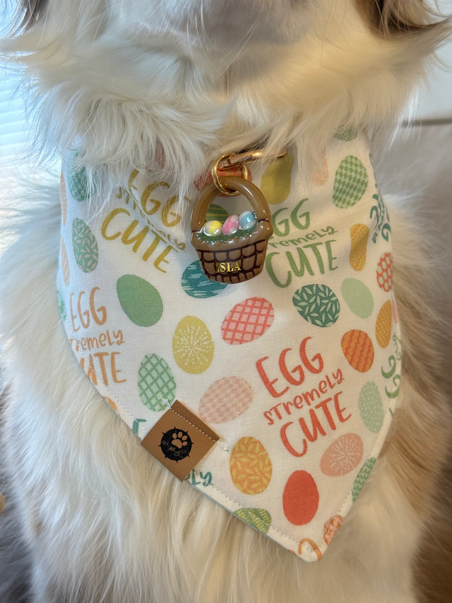 Hoppy Trails Reversible Bandana