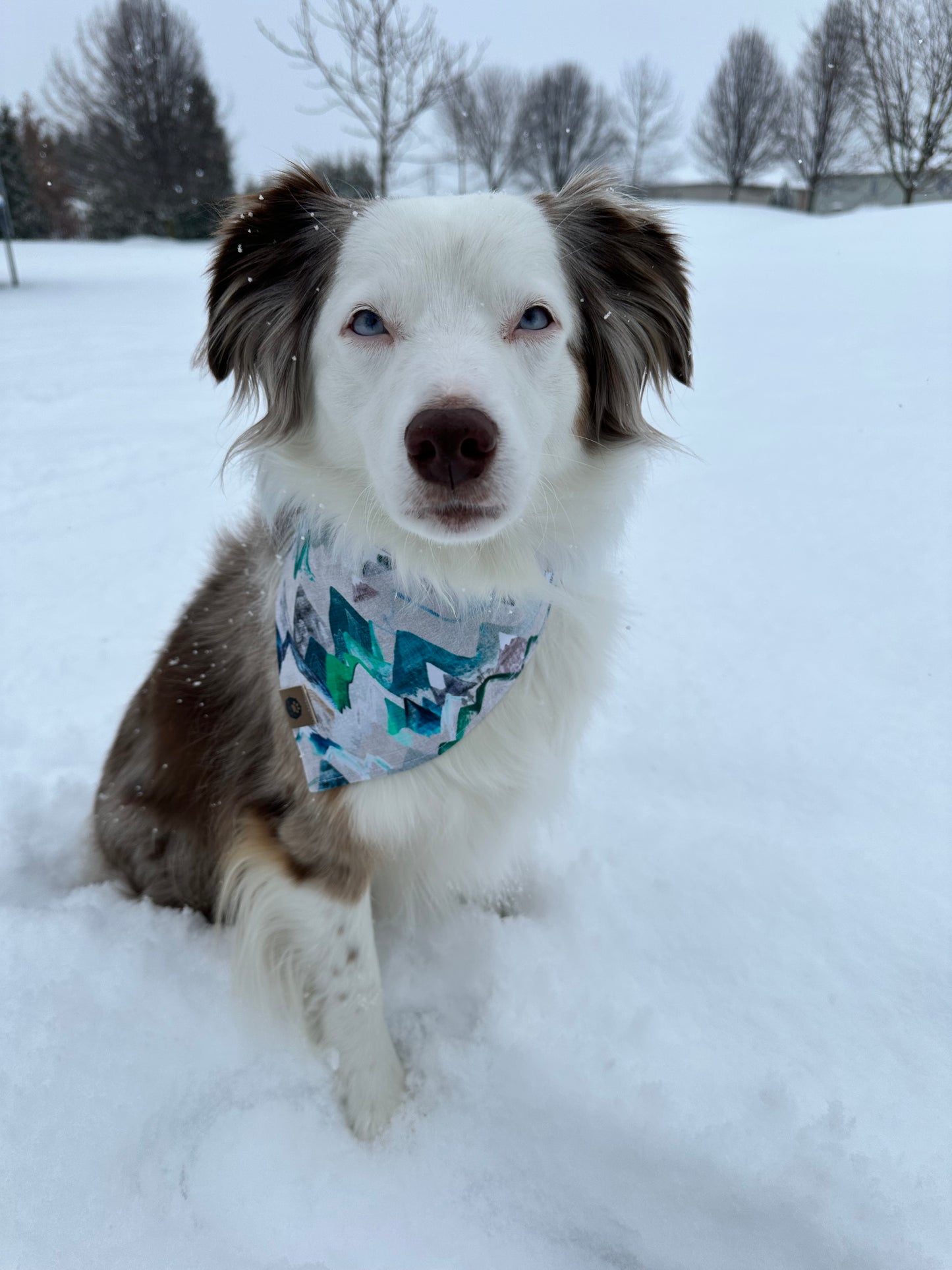 Beary Peaks Reversible Snap On Pet Bandana