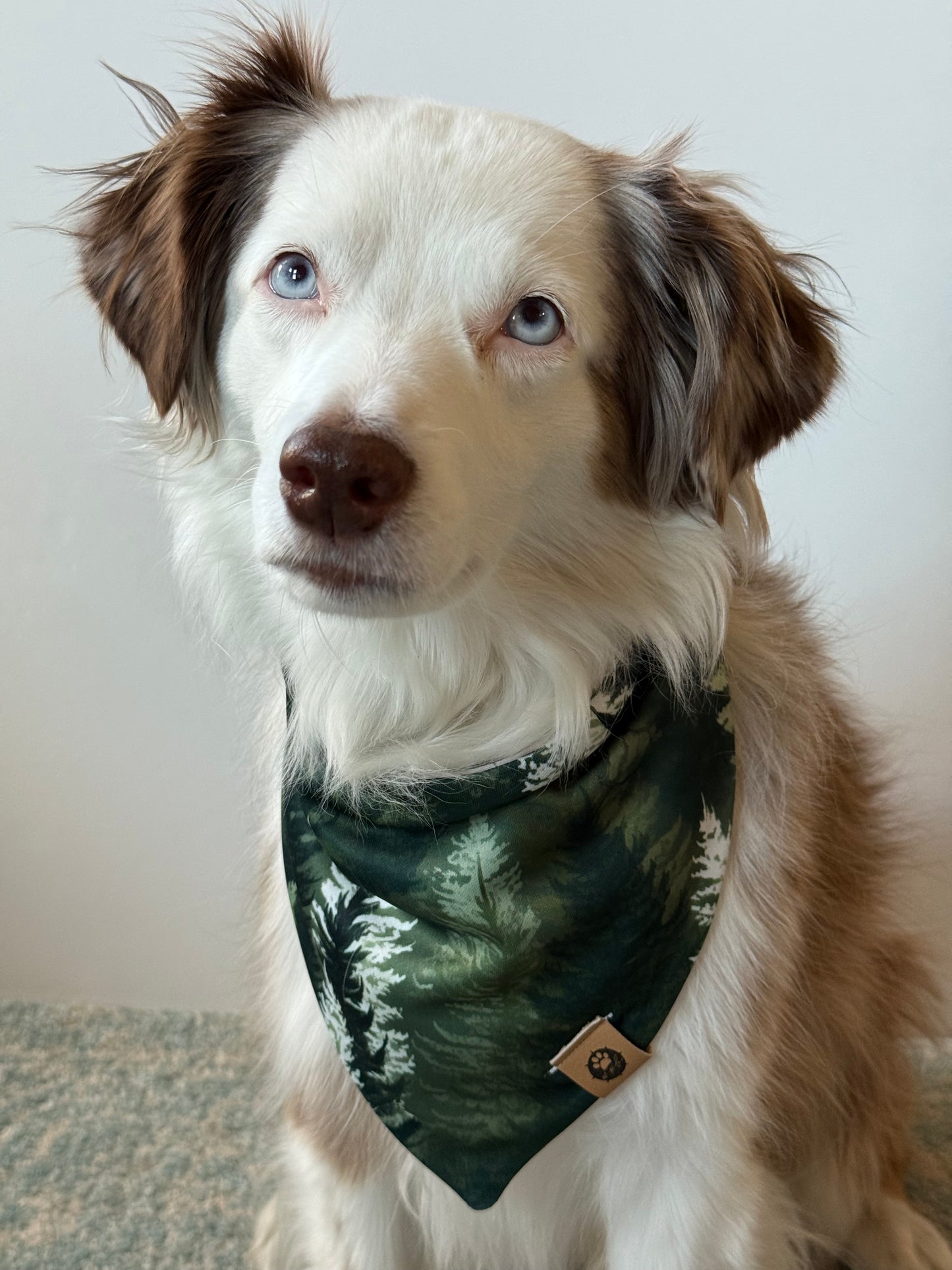 Pine Forest Reversible Adventure Proof Bandana