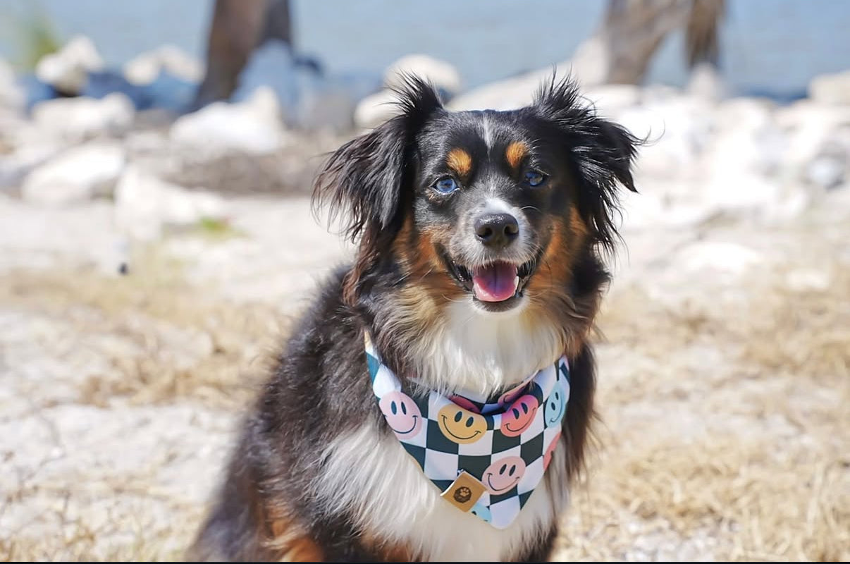 Joy Ride Reversible Adventure Proof Bandana