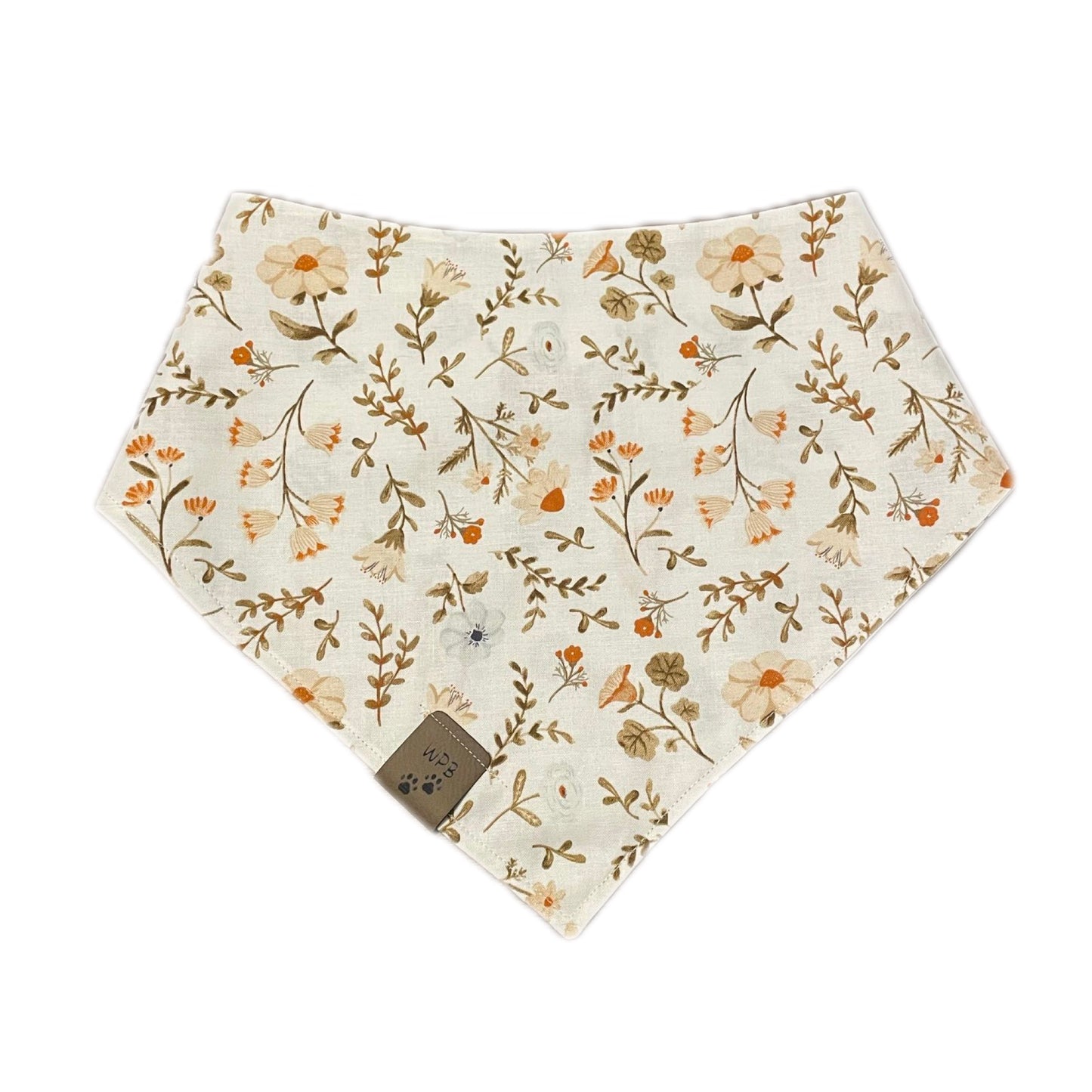 Aurora’s Walk in Nature Reversible Bandana