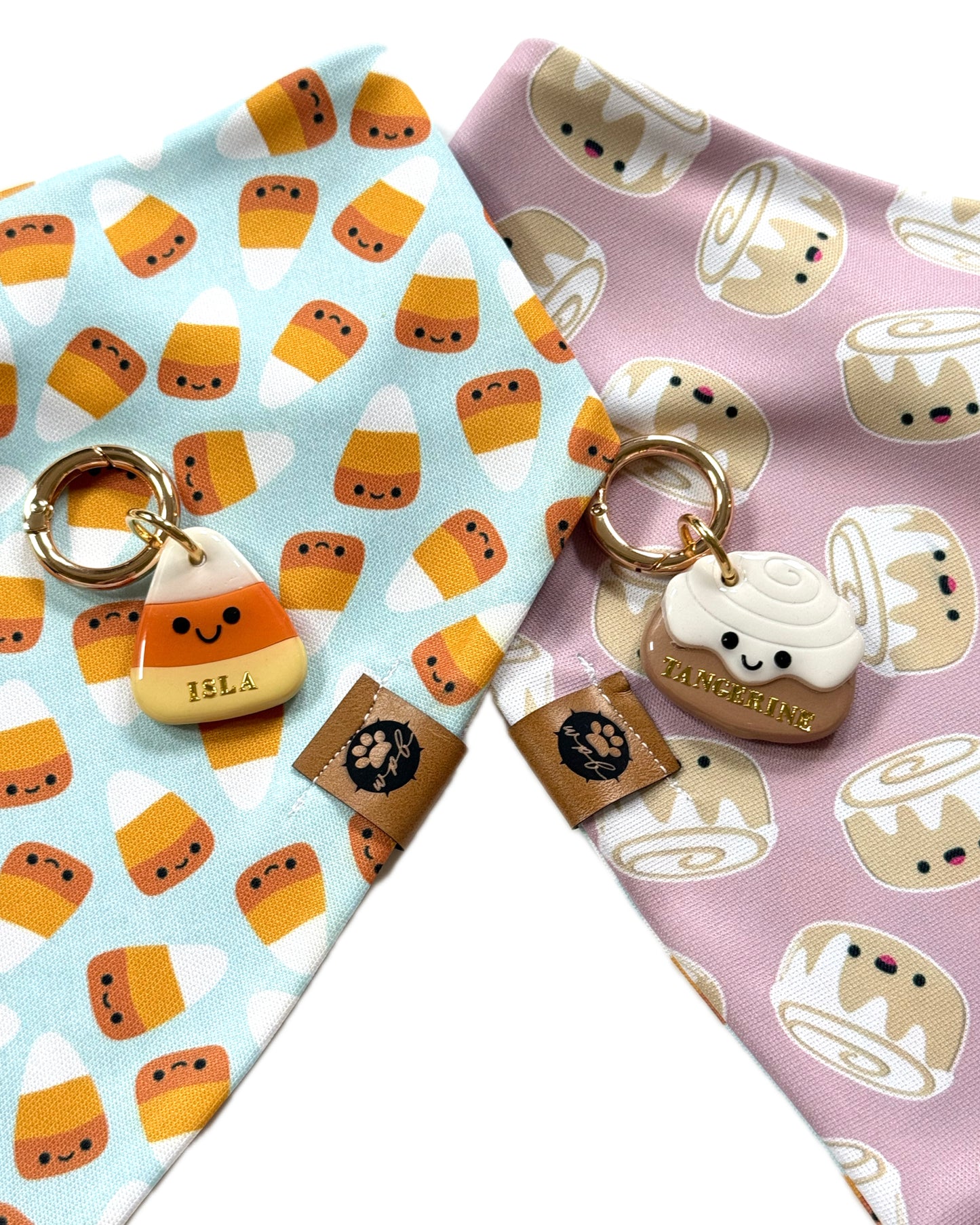 Fall Sweets Wanderproof Bandana