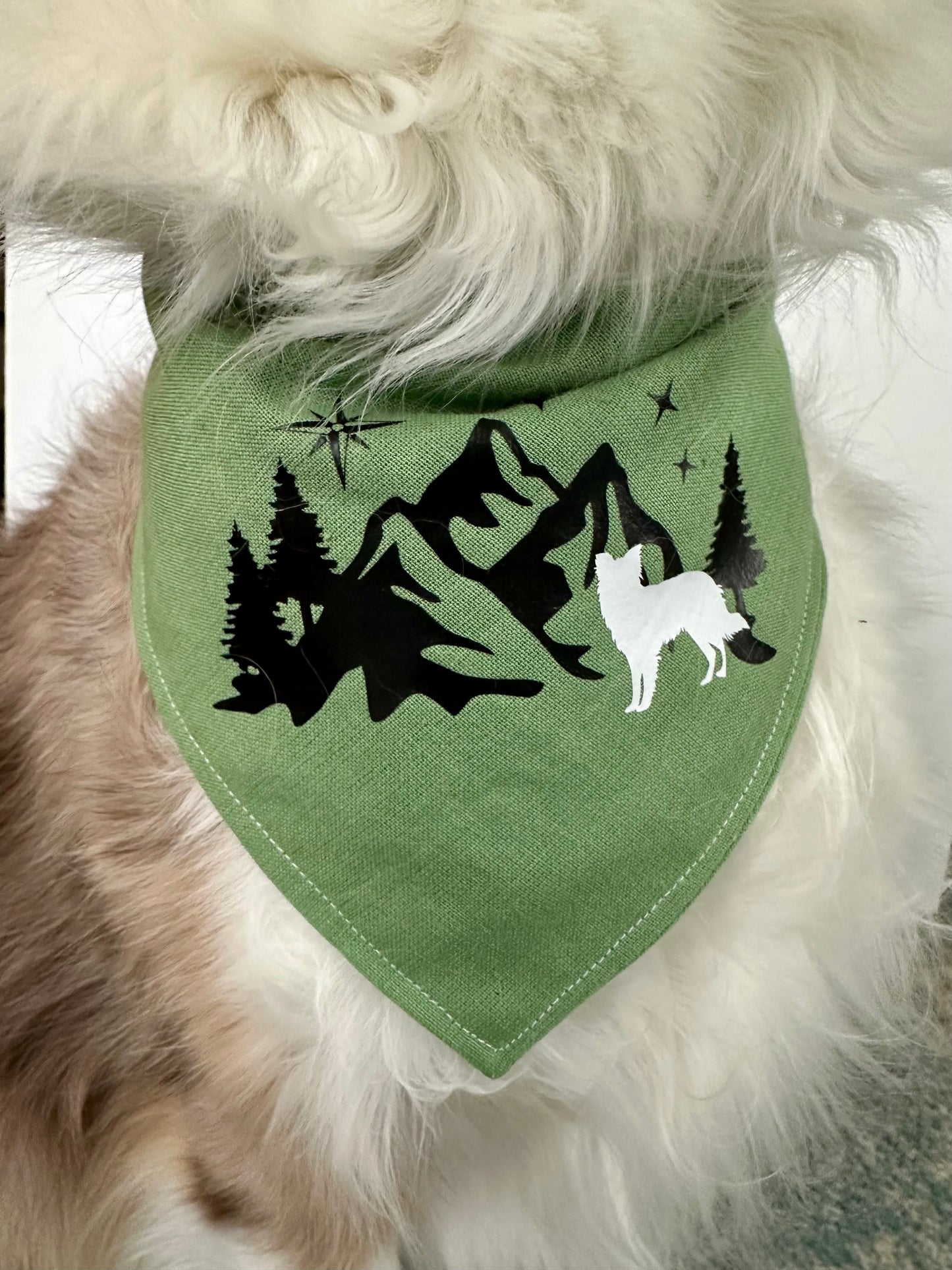 Custom WPB Adventure Bandana