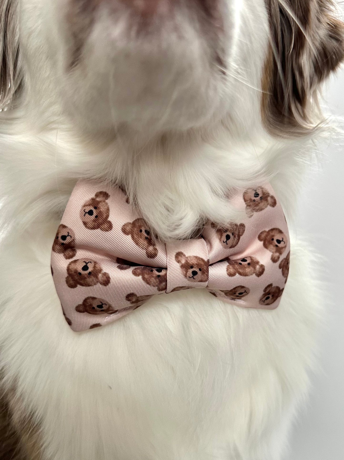 Beary Lovely Bow Tie