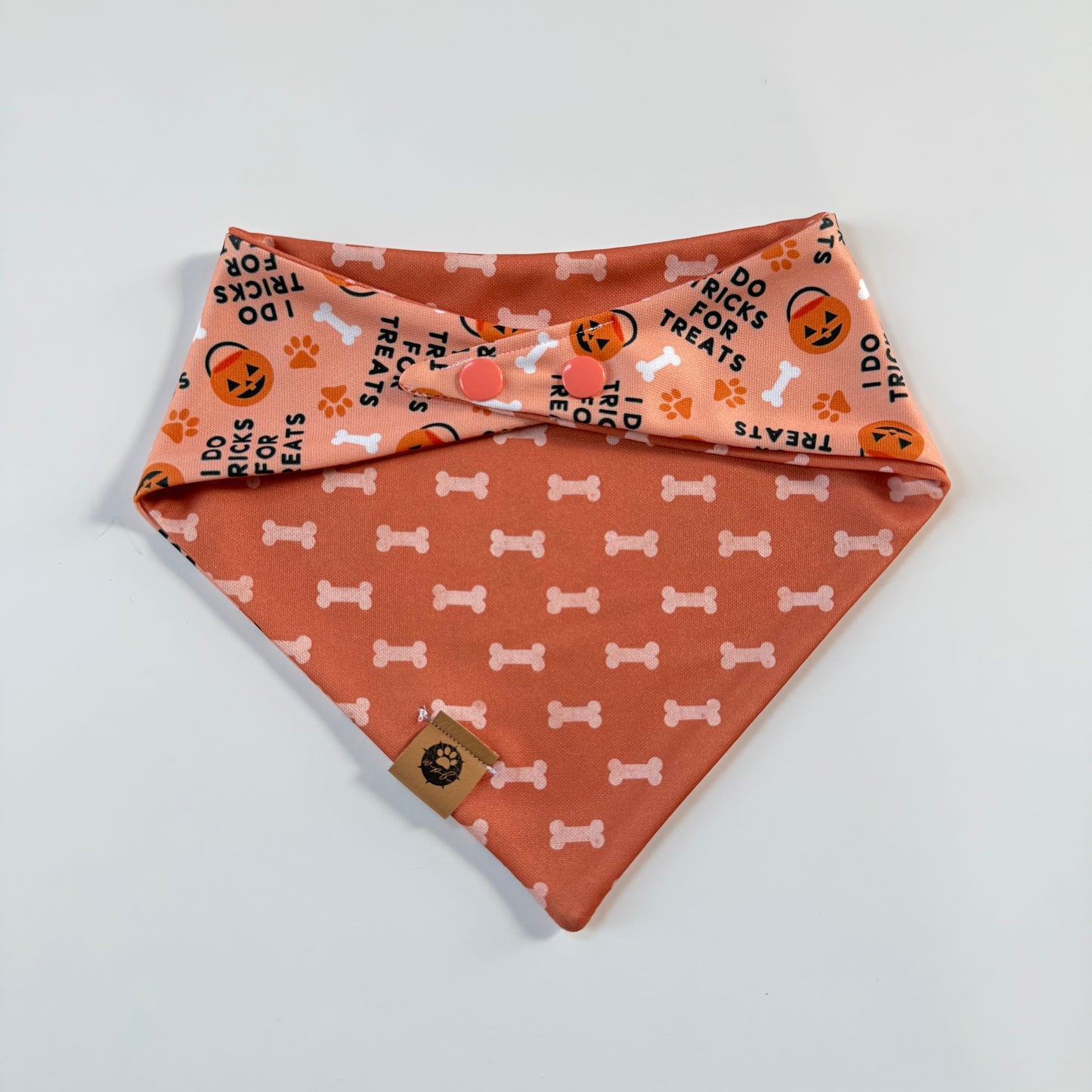 Pumpkin Pup Reversible Adventure Proof Bandana