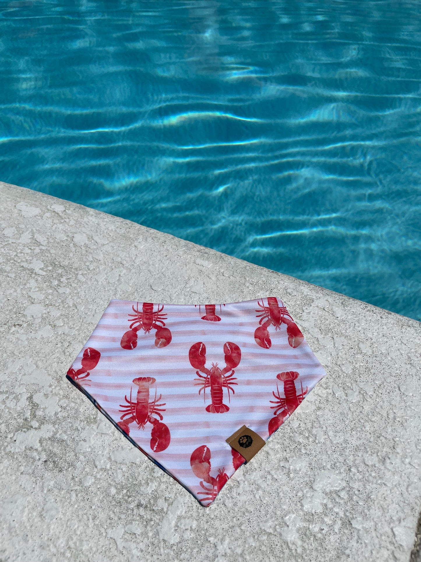 Lobster Stripes Reversible Adventure Bandana