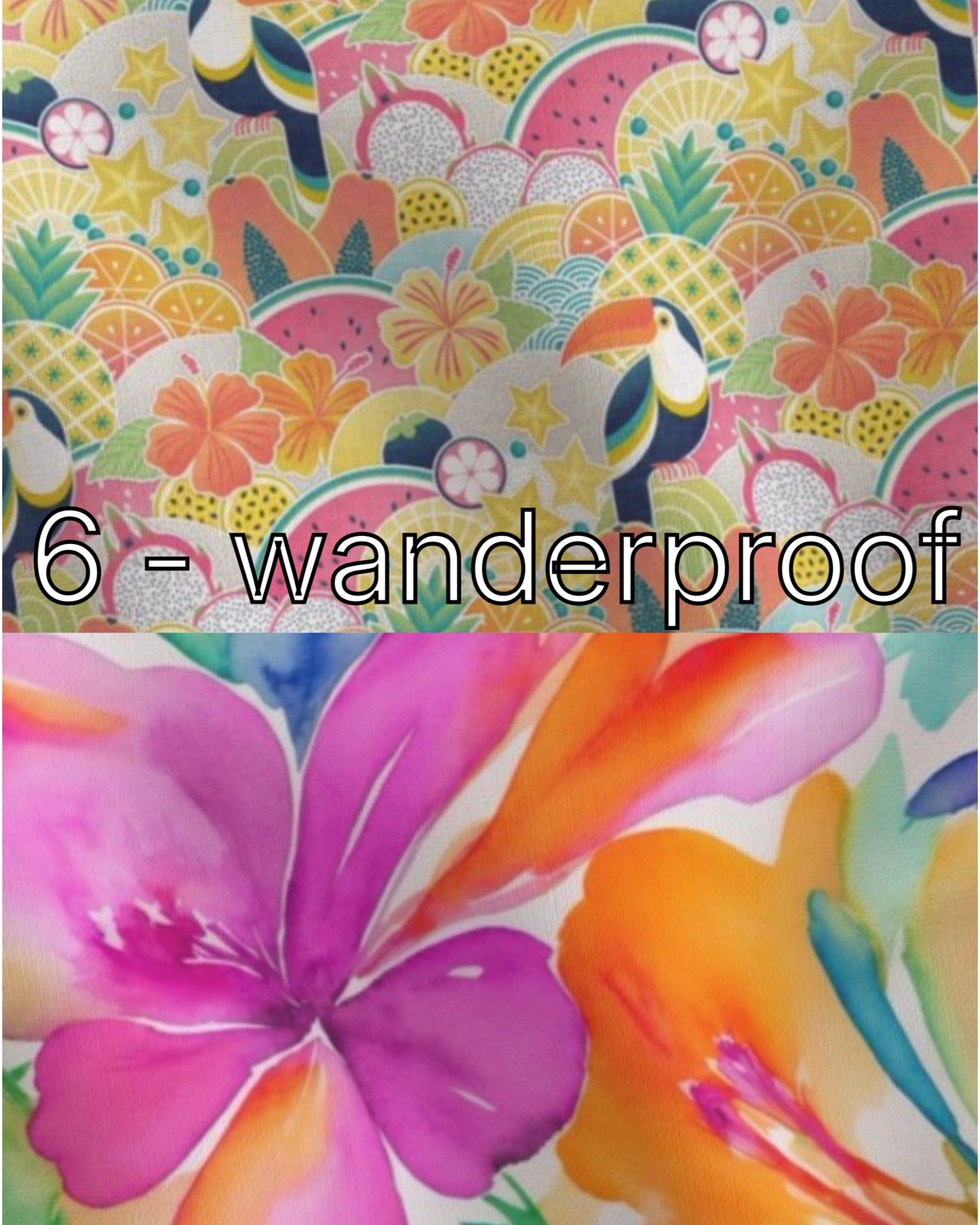 Model Preorder