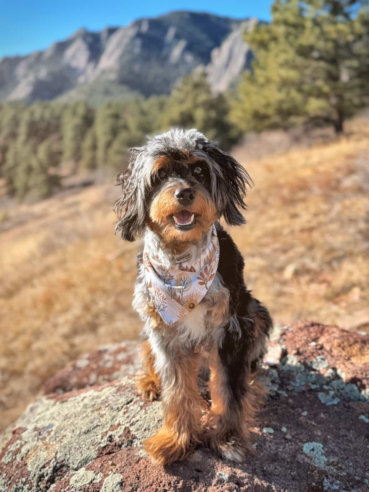 Mountain Muse Reversible Wander Proof Style Bandana