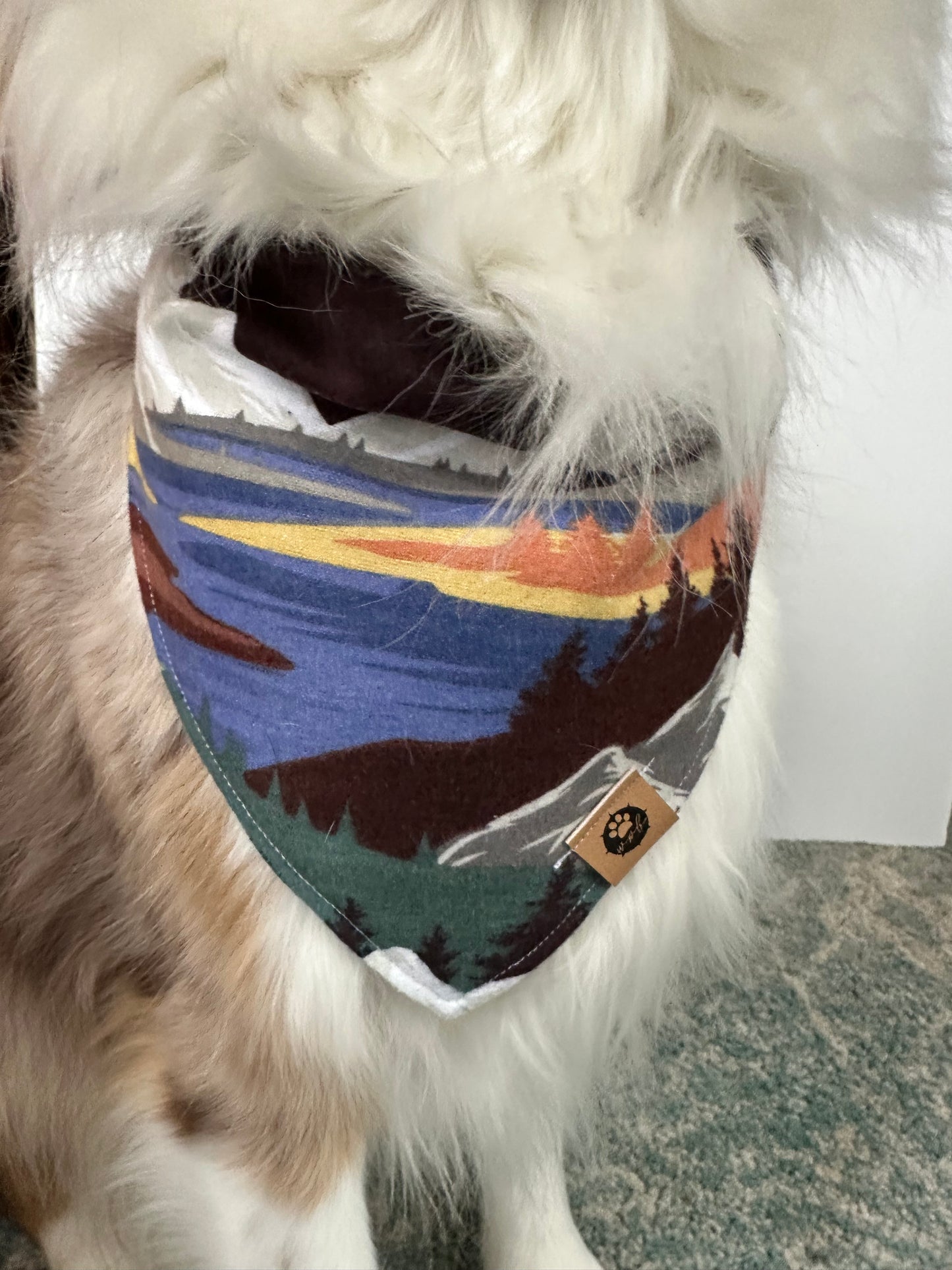 Alpine Spirit Flannel Reversible Bandana