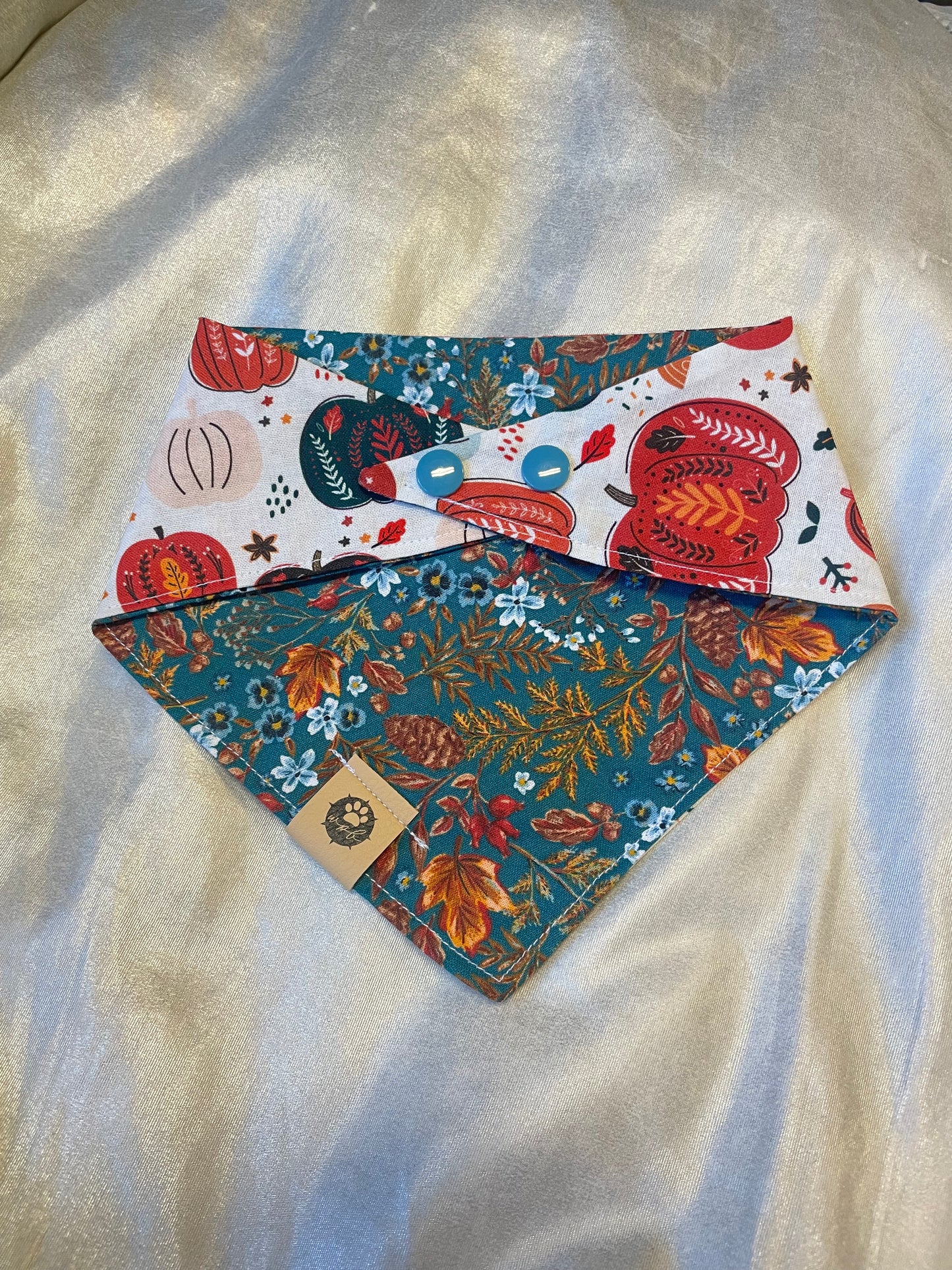 Pumpkin Spice Reversible Bandana