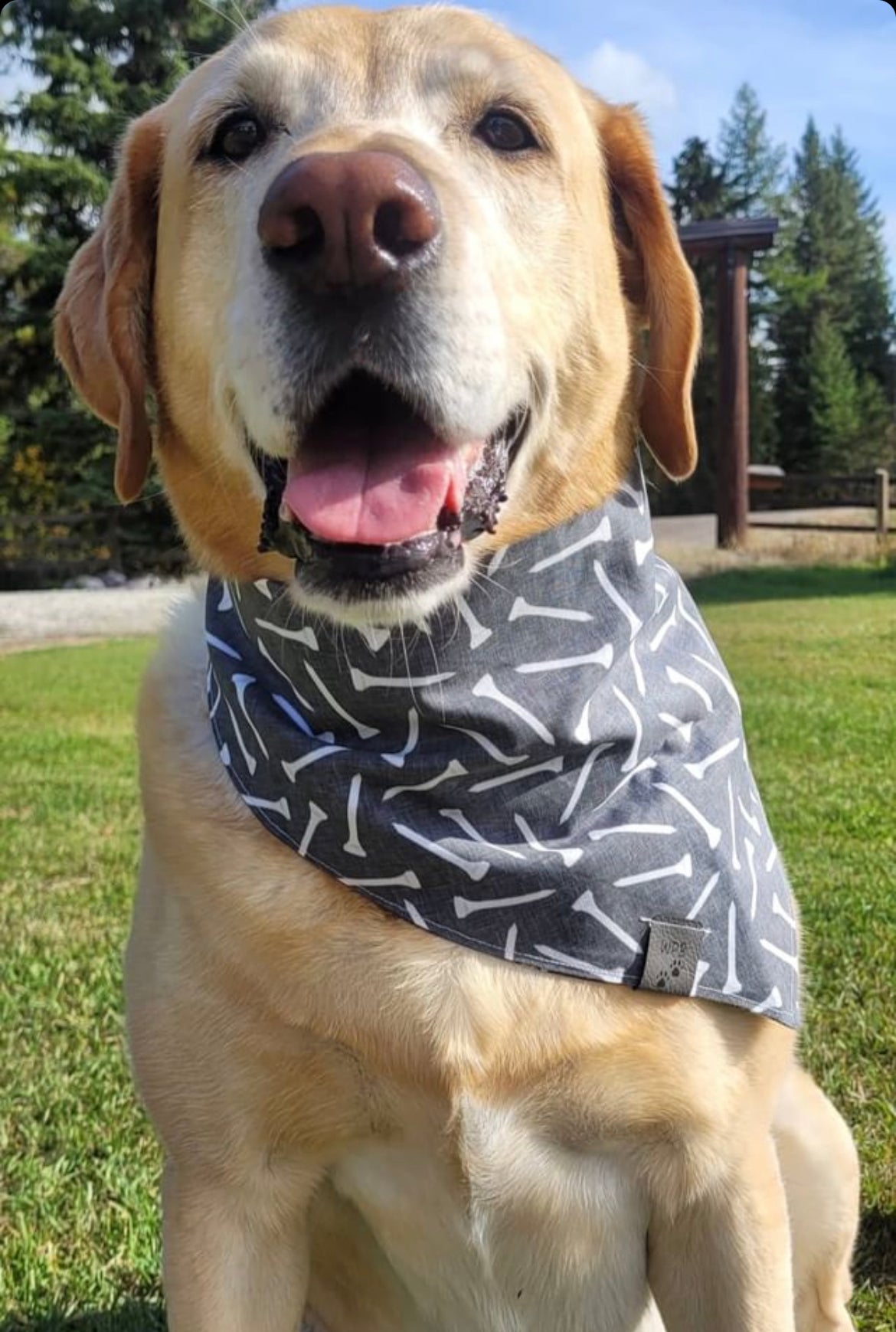 B-argh-k for the Course! Model Line Reversible Snap On Pet Bandana