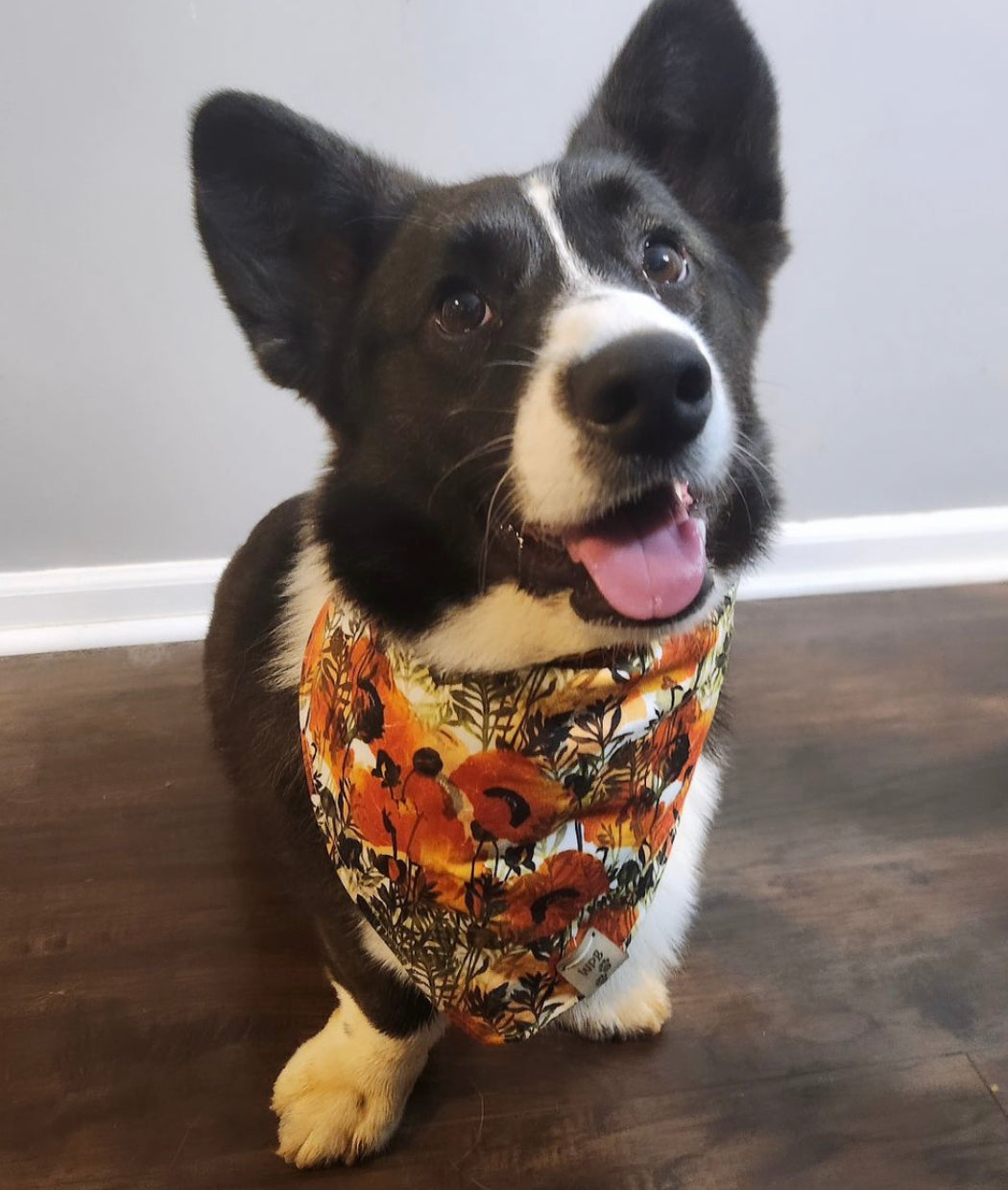 Sunlit Forest Reversible Bandana