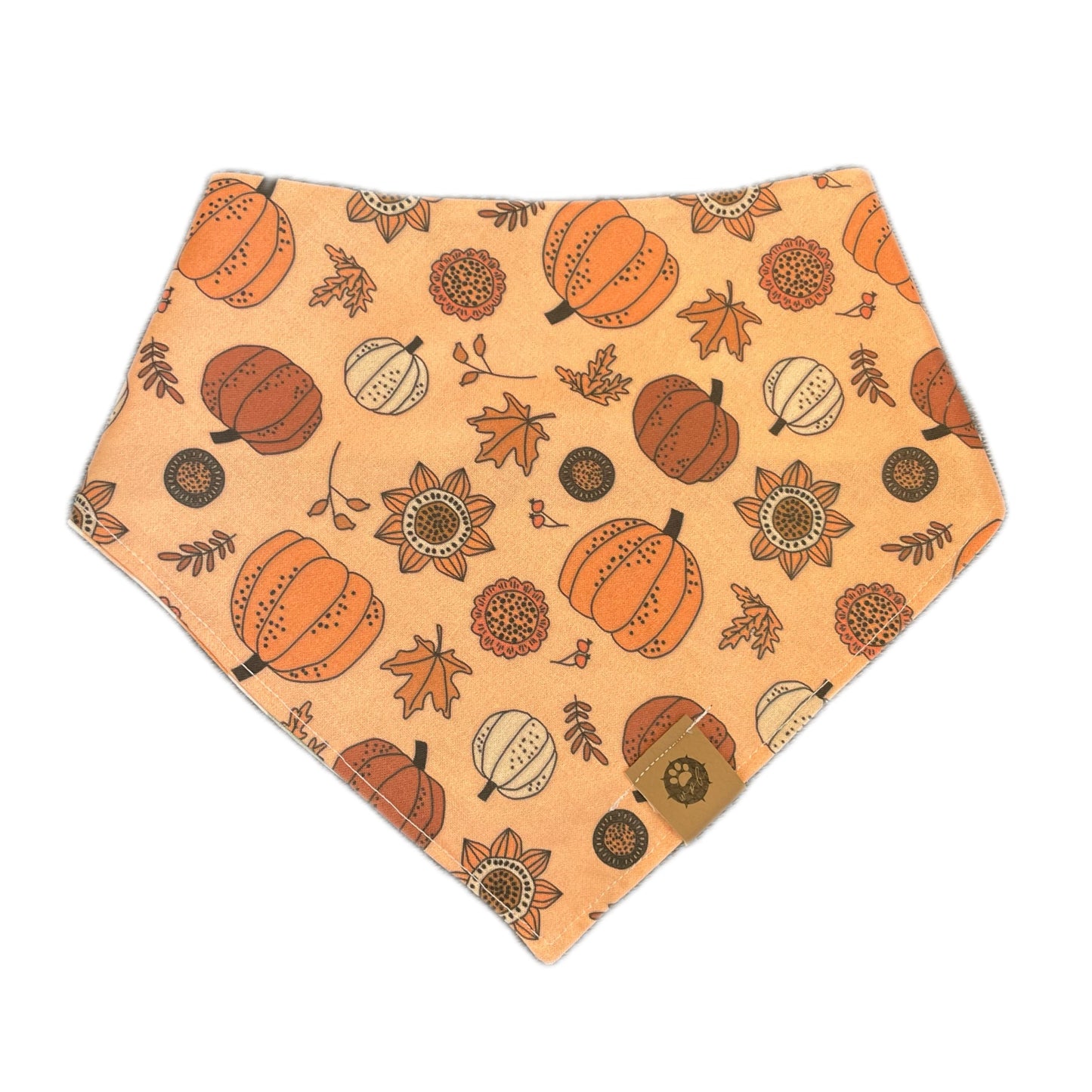 Autumn Harvest Bandana