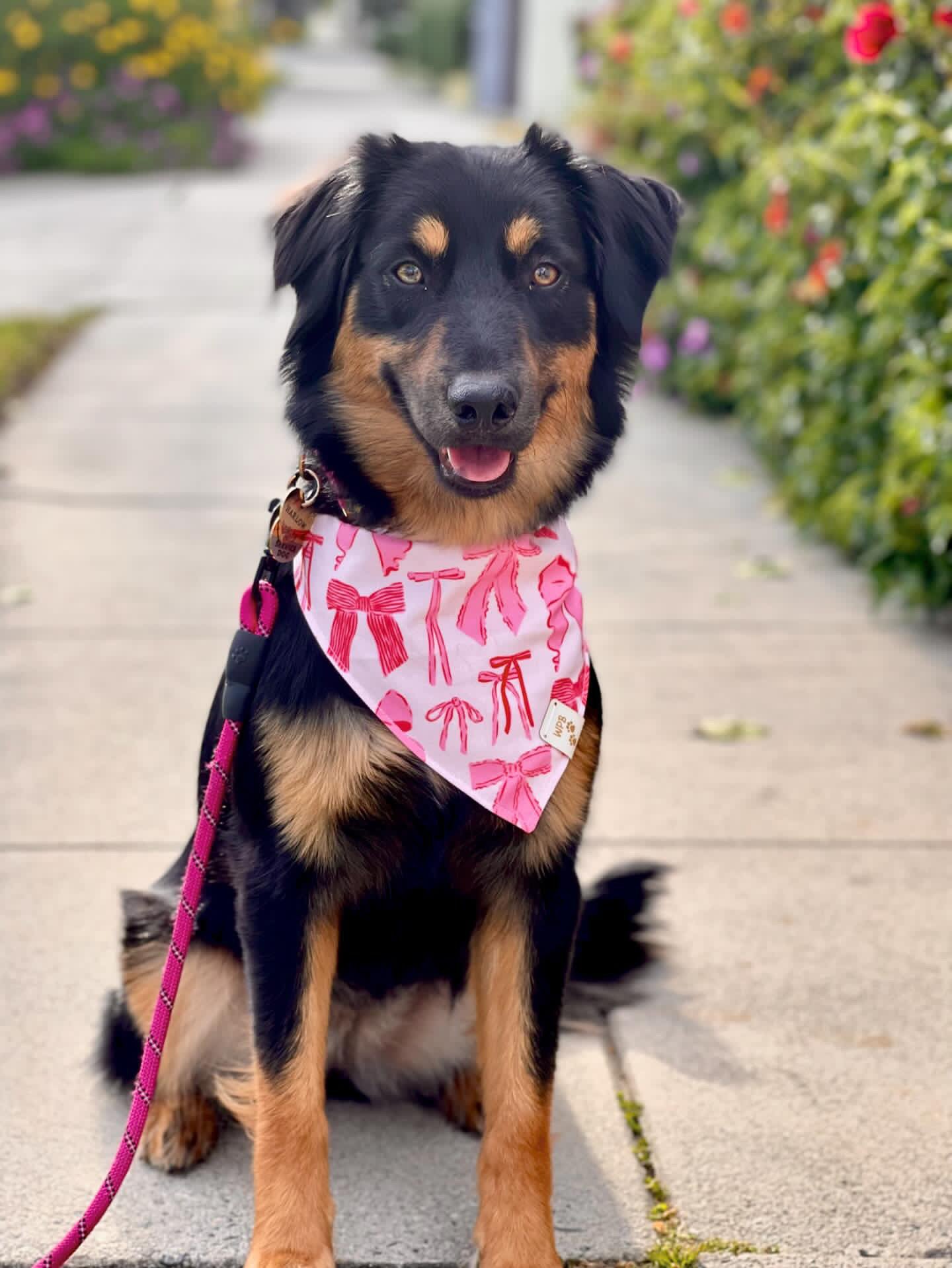 The Harlow Reversible Bandana