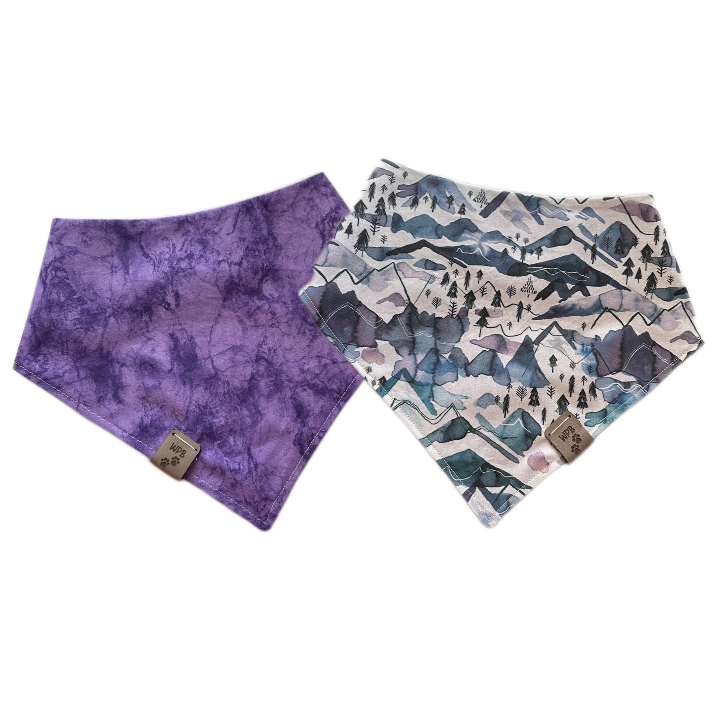 Adjust Your Altitude Reversible Snap On Bandana