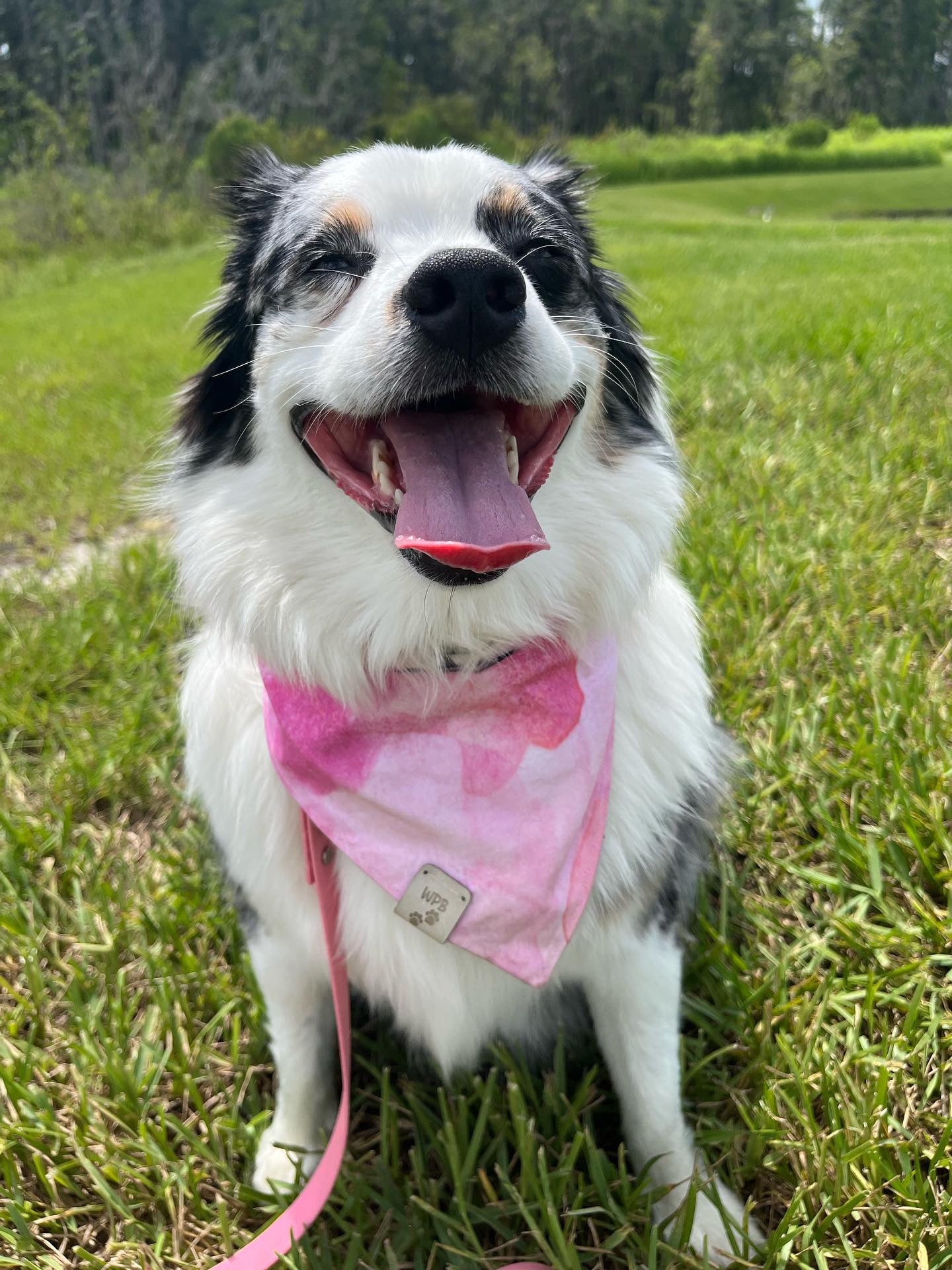 Simple Beauty Reversible Snap On Bandana
