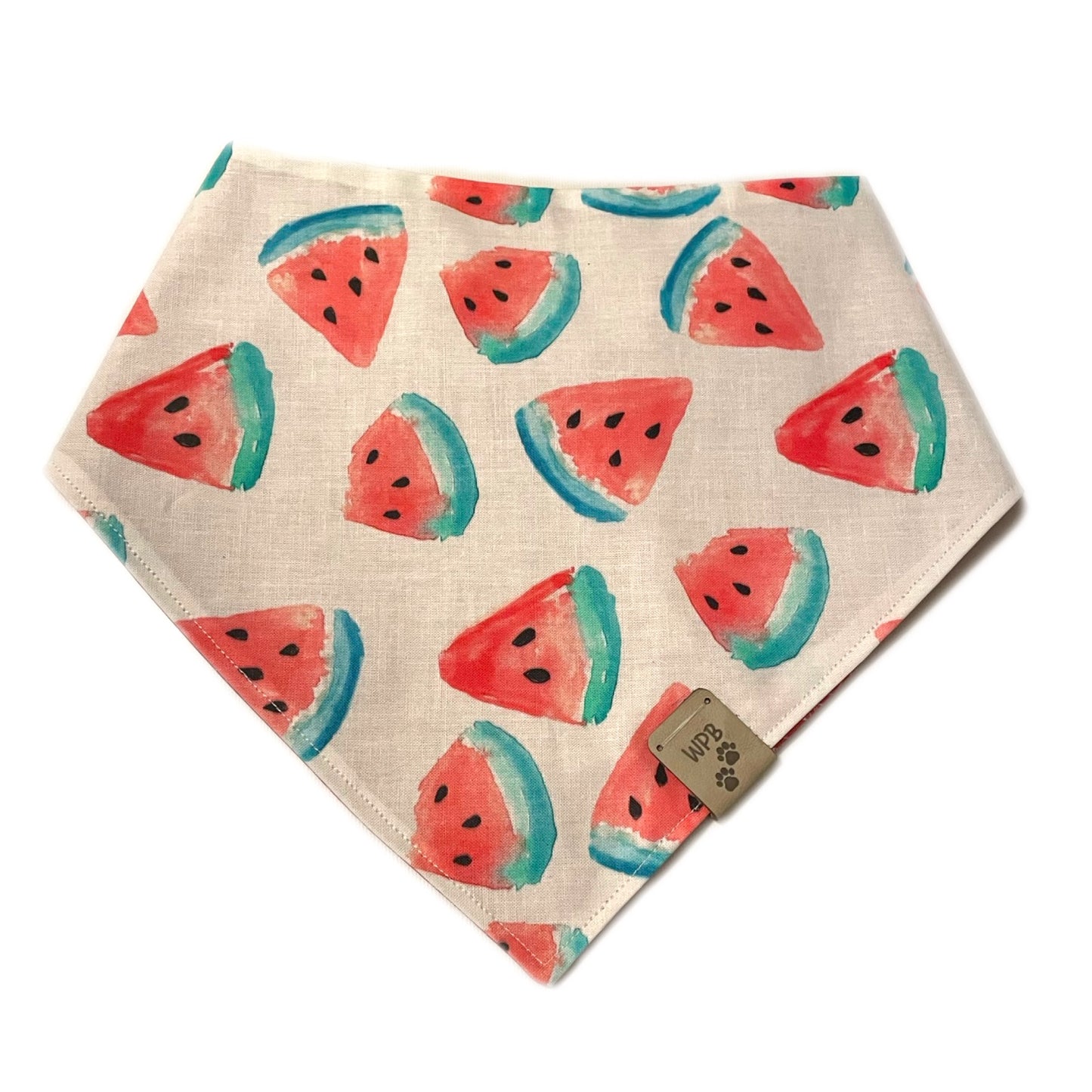 Watermelon Sugar Reversible Snap On Pet Bandana