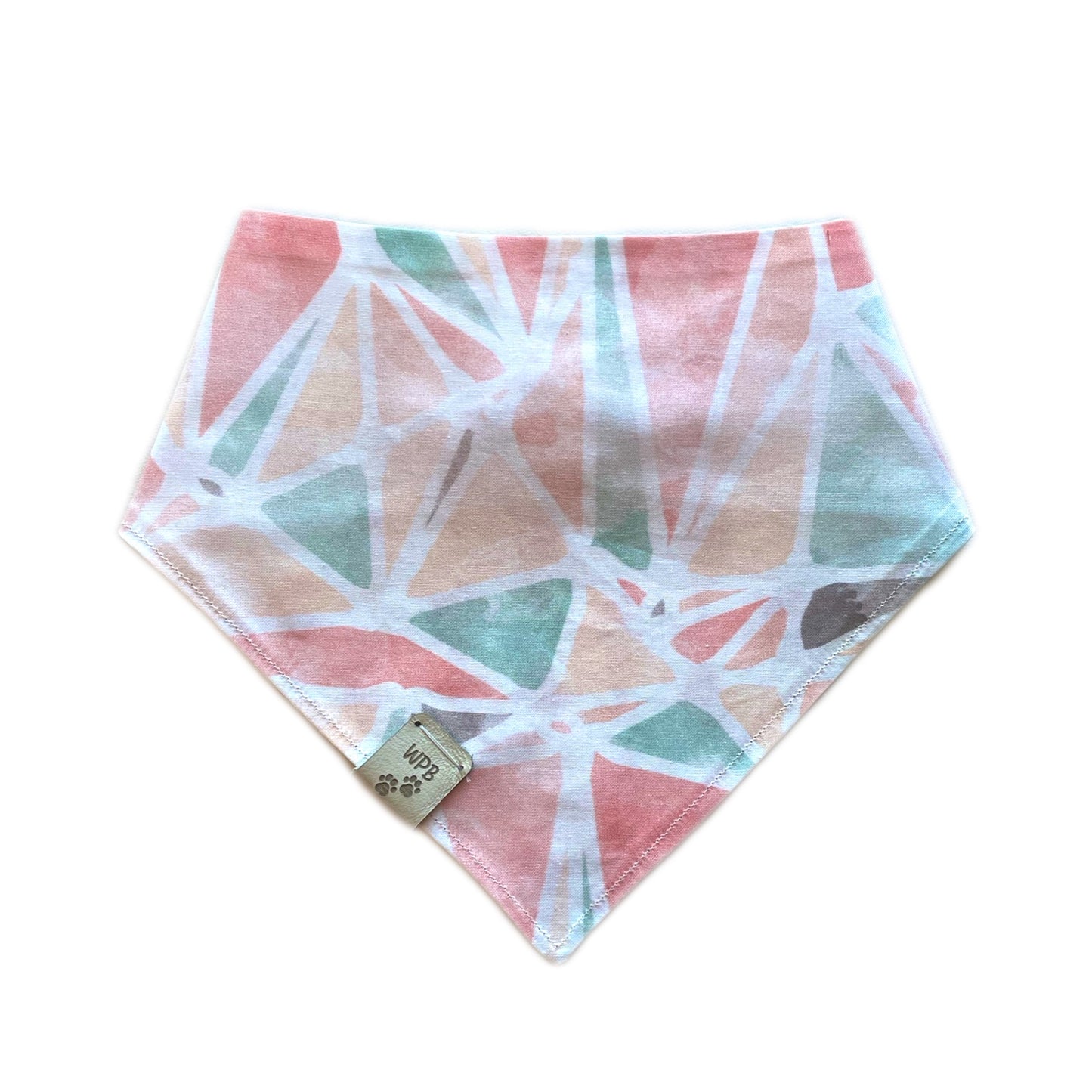 Taste of Summertime Reversible Snap On Pet Bandana