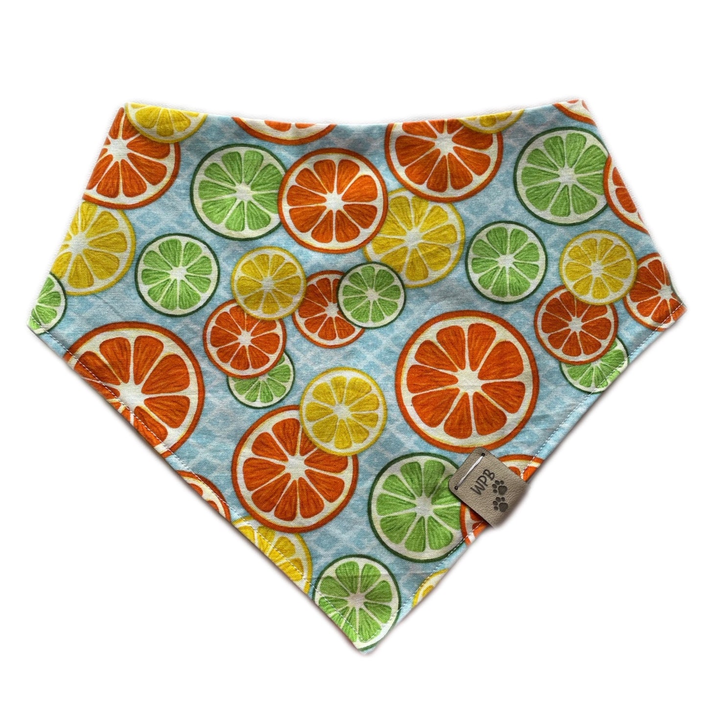 Lemon Boy Reversible Snap On Pet Bandana