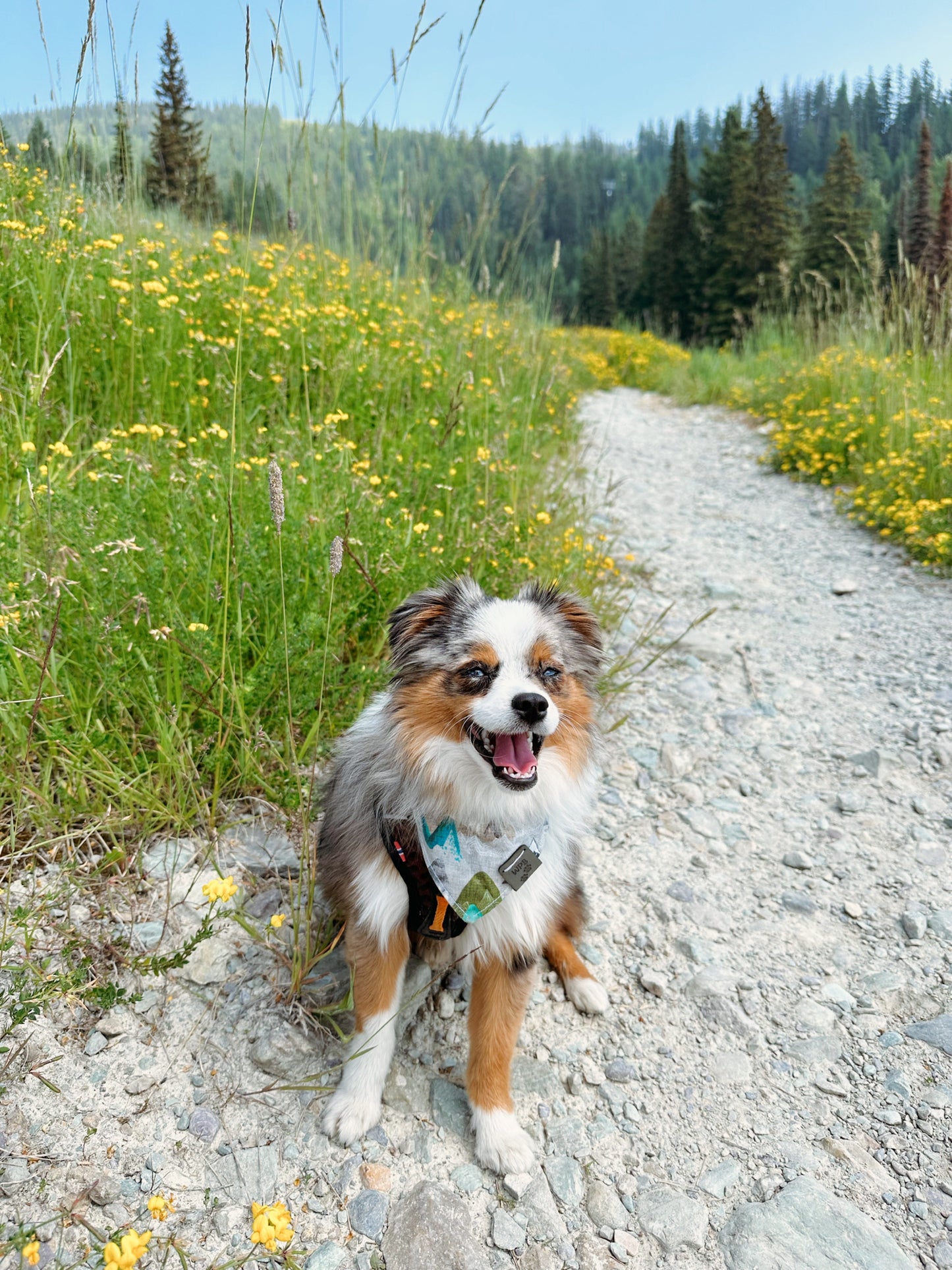 Beary Peaks Reversible Snap On Pet Bandana