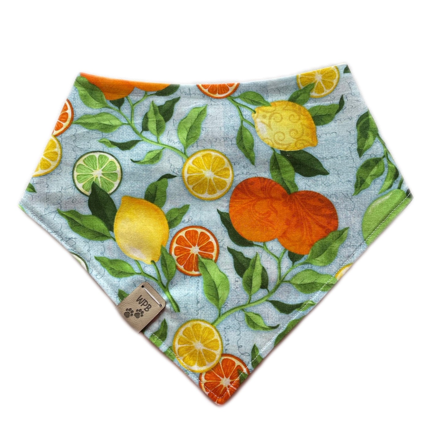 Lemon Boy Reversible Snap On Pet Bandana