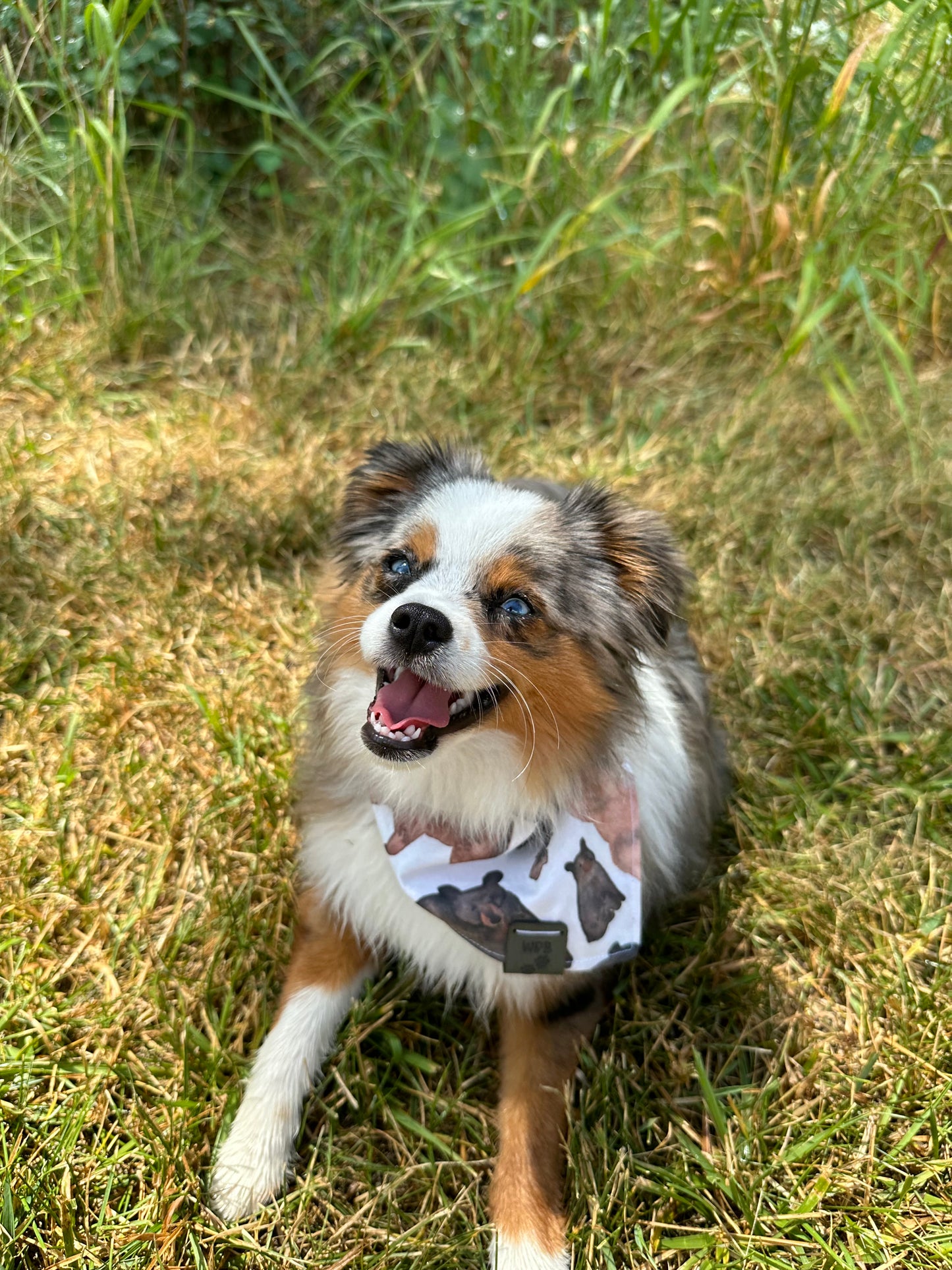 Beary Peaks Reversible Snap On Pet Bandana